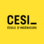 CESISEC19